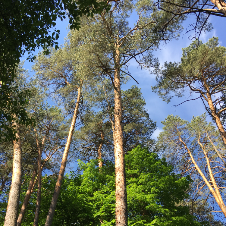 Все фотографии в статье принадлежат автору