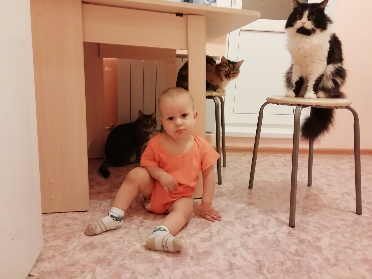 Фотка из двушки. Тимофей)