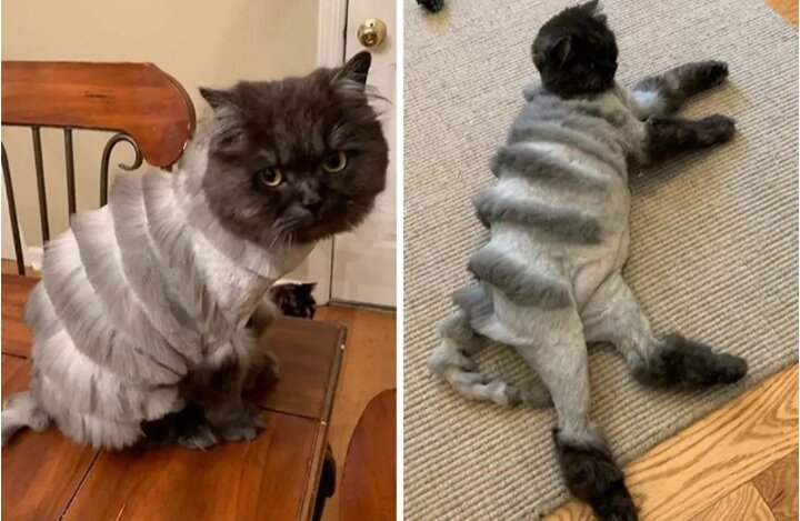 Из открытого источника яндекс картинки 