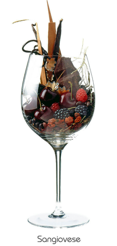 Основные ароматы, которые можно услышать в бокале Санджовезе.