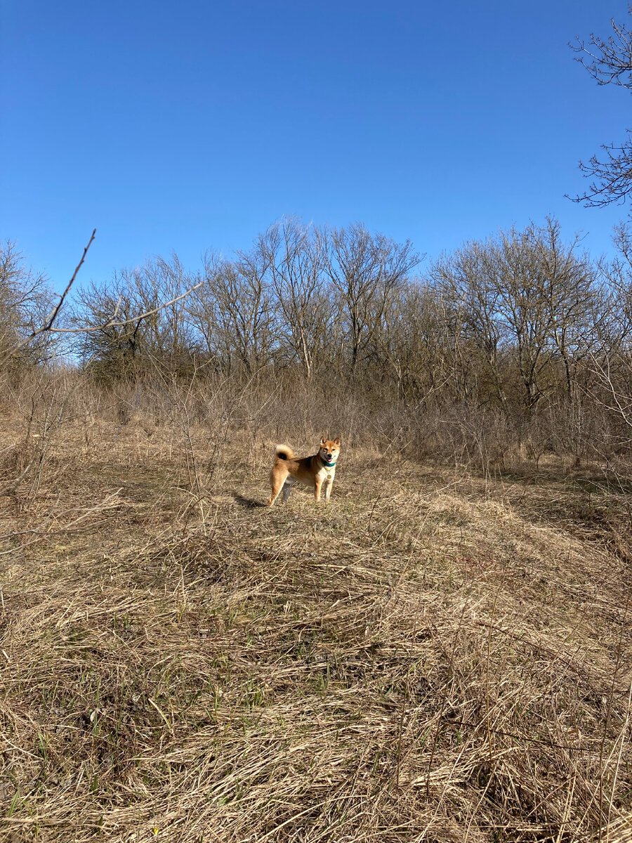 Мартовский Тимо❤️