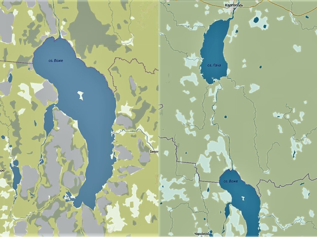 Погода озера воже. Озеро Воже река Свидь. Озеро Воже Вологодская область рыбалка. Озеро Воже на карте. Озеро Воже мост.