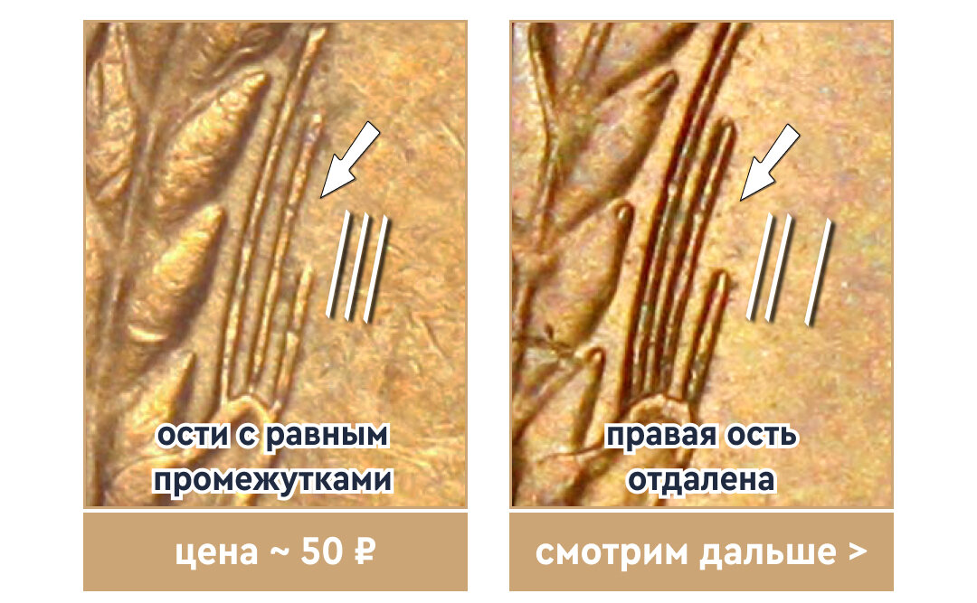 Вначале смотрим на три ости, выходящие из-под дубового листа на реверсе. 