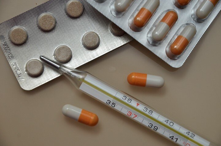 Фото: Анна Быкова 