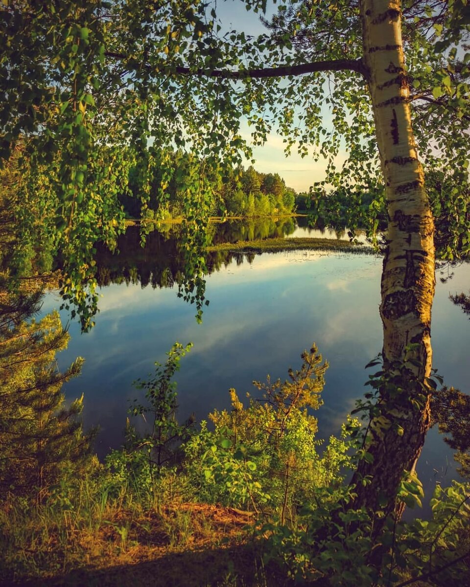 Из интернета