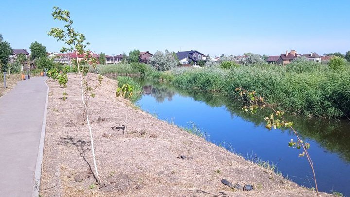 ФОТО: ЦАРЬГРАД