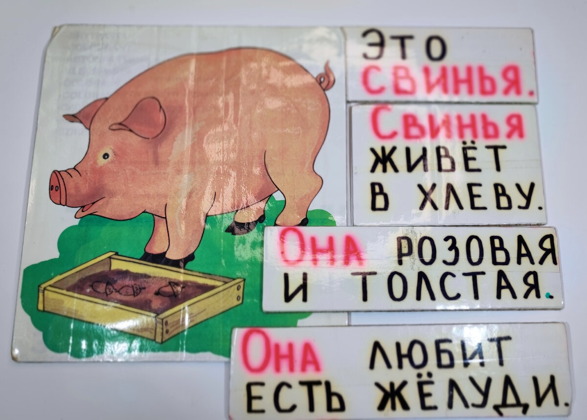 Рассказ "Свинья"