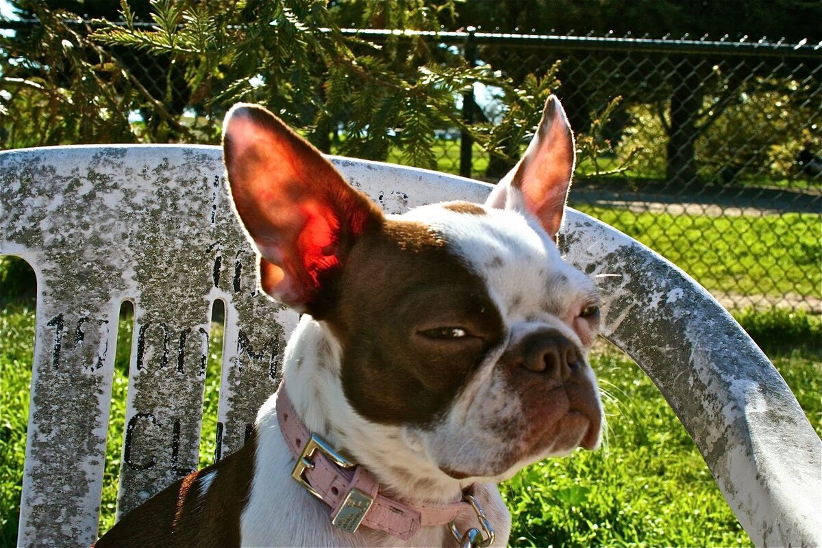 Взято на Яндекс Картинках