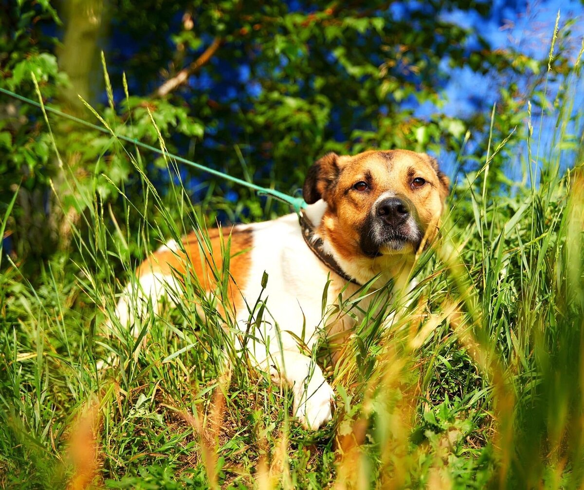 Чемпион передает всем привет 