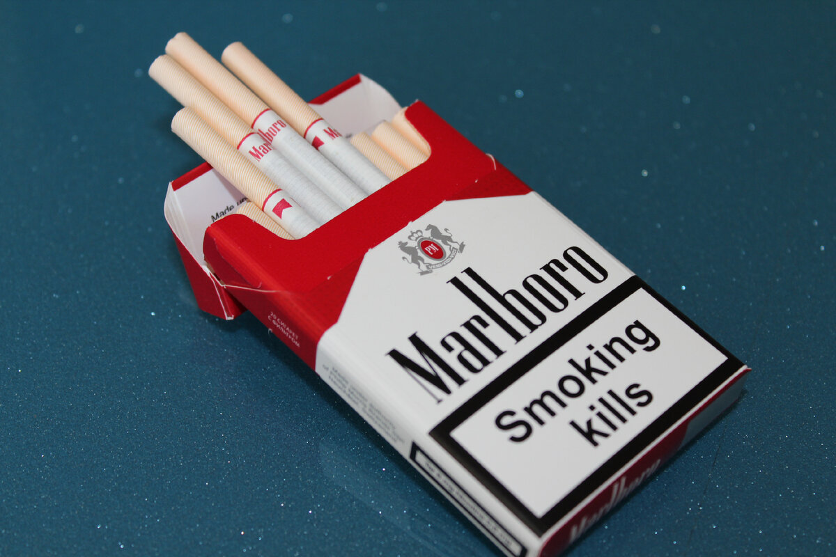 Arti-всем обо всем