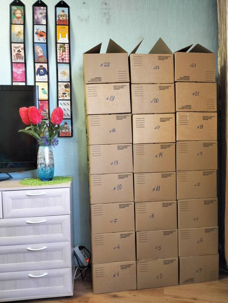 И это ещё не предел... 🪴🪴🪴