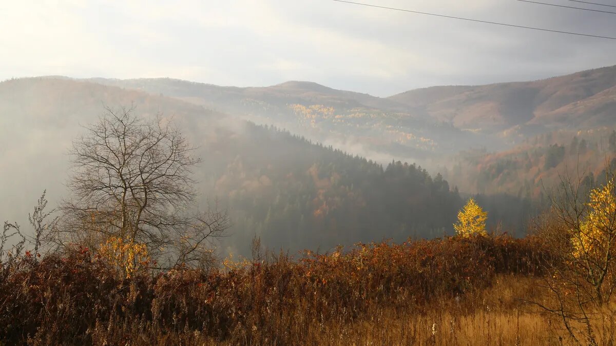Данные были взяты с метеорологического ресурса World-weather.ru. Фото: freepik.com