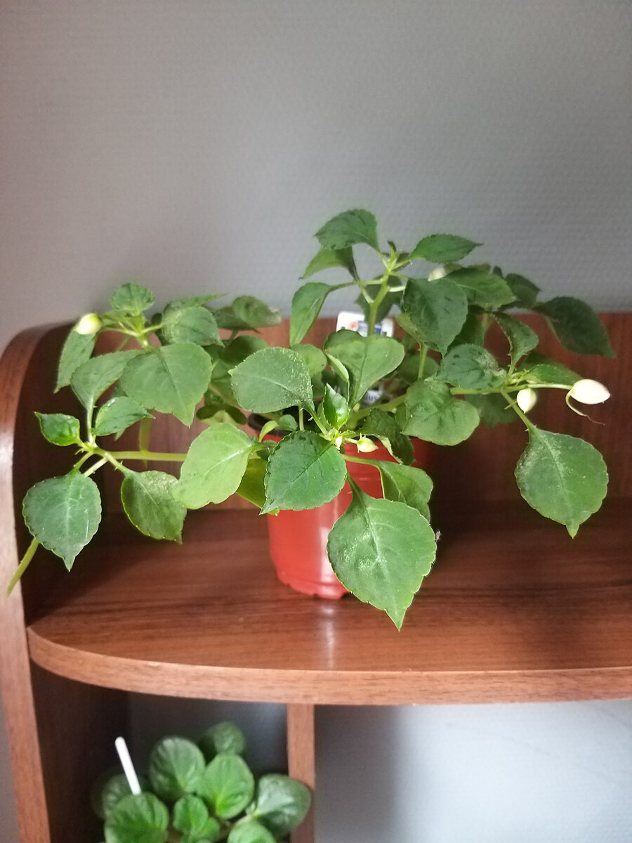 Фото 6 сентября 2022