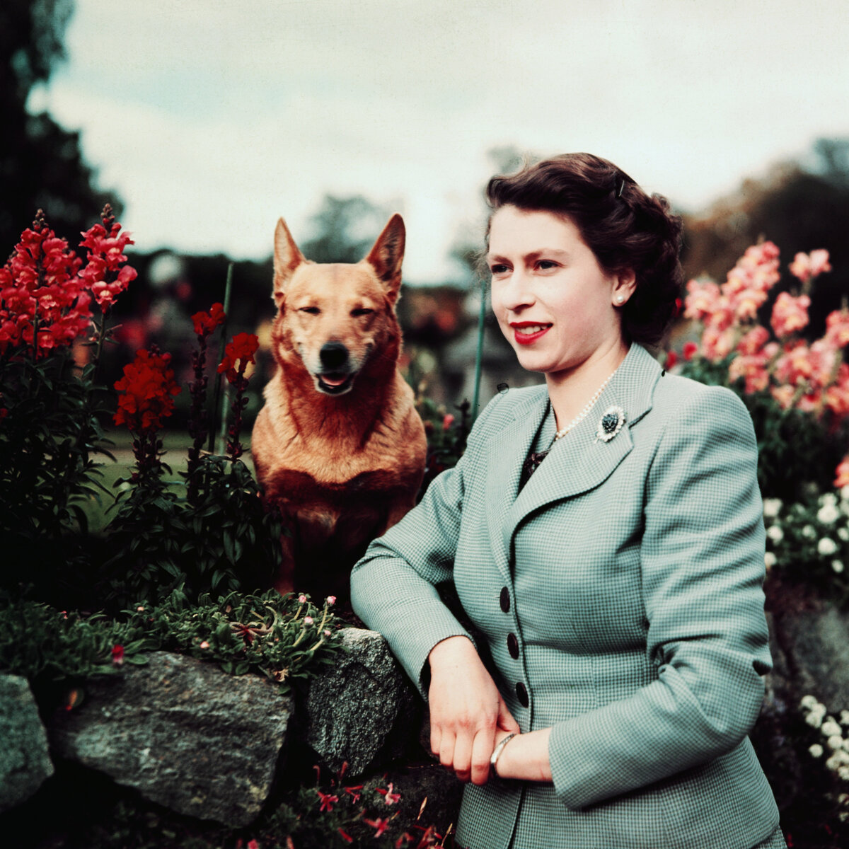     Елизавета II и ее корги: история в фотографиях