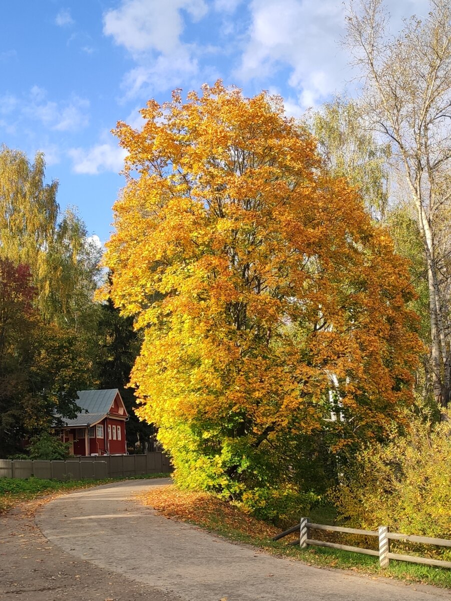 Деревенская пастораль