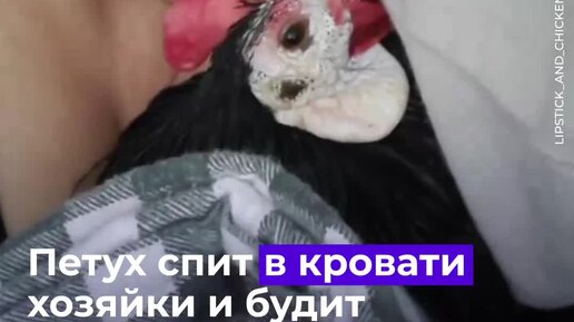 Секс со спящими видео | русское порно онлайн [новые видео]