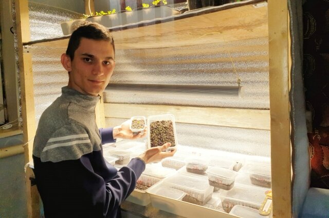    В руках Михаила всходы 2023 года алиссума и гацании. Фото: Из личного архива/ Михаил Прасол