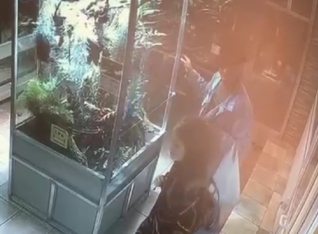 Воры в Ленинградском зоопарке. Скриншот: пресс-служба прокуратуры Петербурга