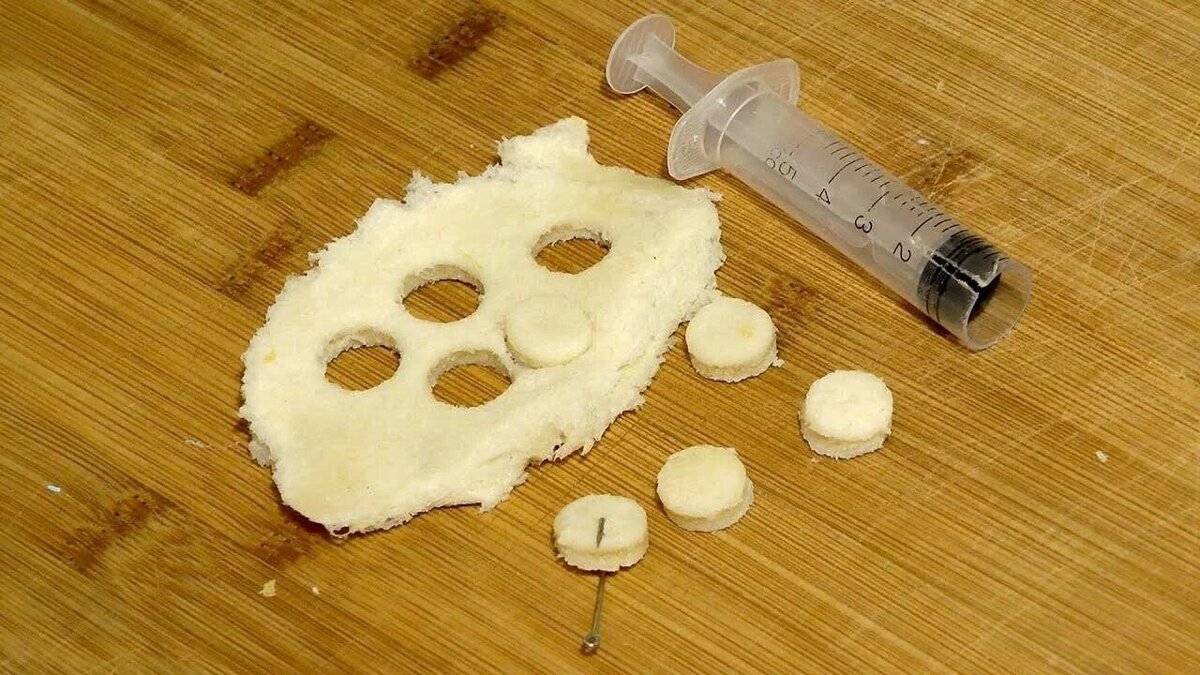 Фото с сайта: https://avatars.mds.yandex.net