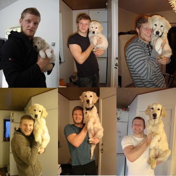 Фото до и после. На первом фото ему меньше месяца, а на последнем 2 года