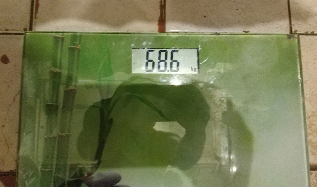 Фото из личного архива. В интернете нет нигде.