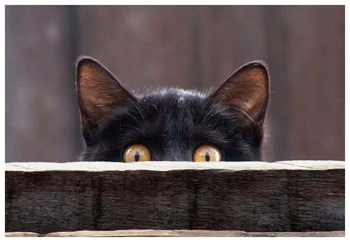 фото ostrnum.com