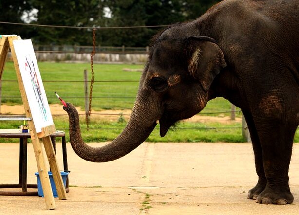 Слон рисует картину
