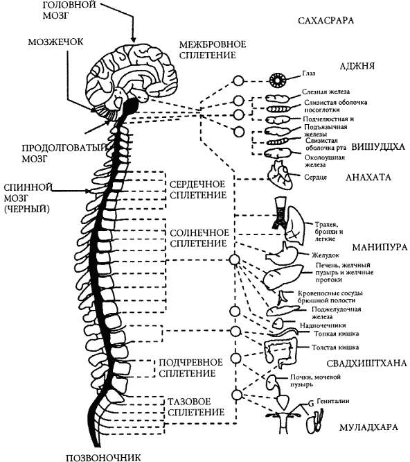 иллюстрация https://esoterics.wikireading.ru/121253