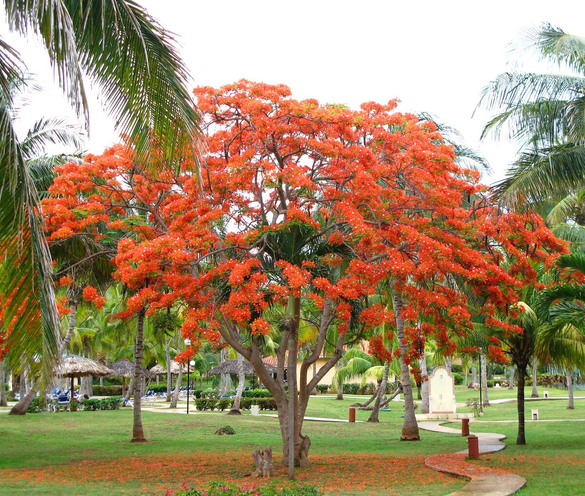 
Территория отеля Sol Varadero