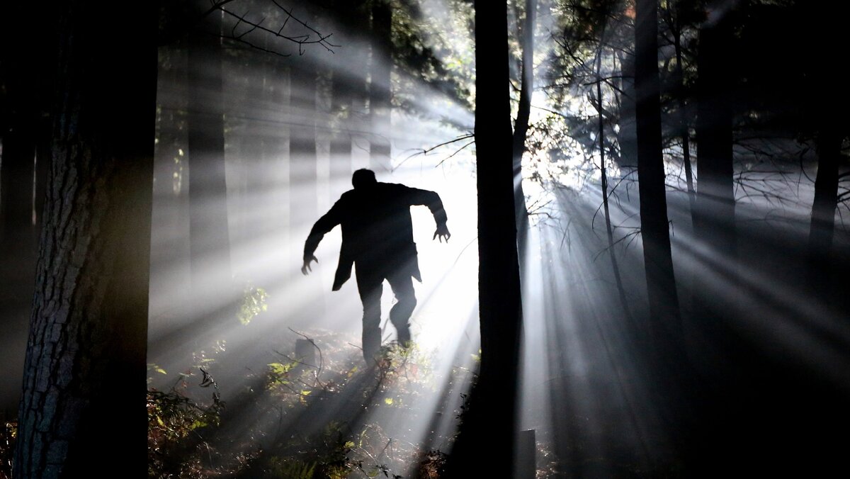 фото из открытых источников в сети