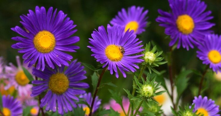 Фото из свободных источников