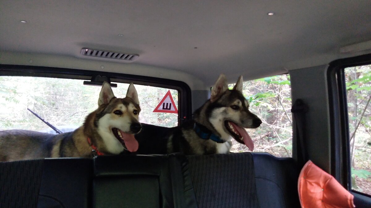 Няньки, к бою!