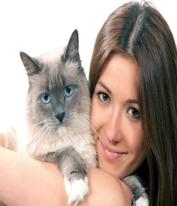 фотография из свободных источников интернета