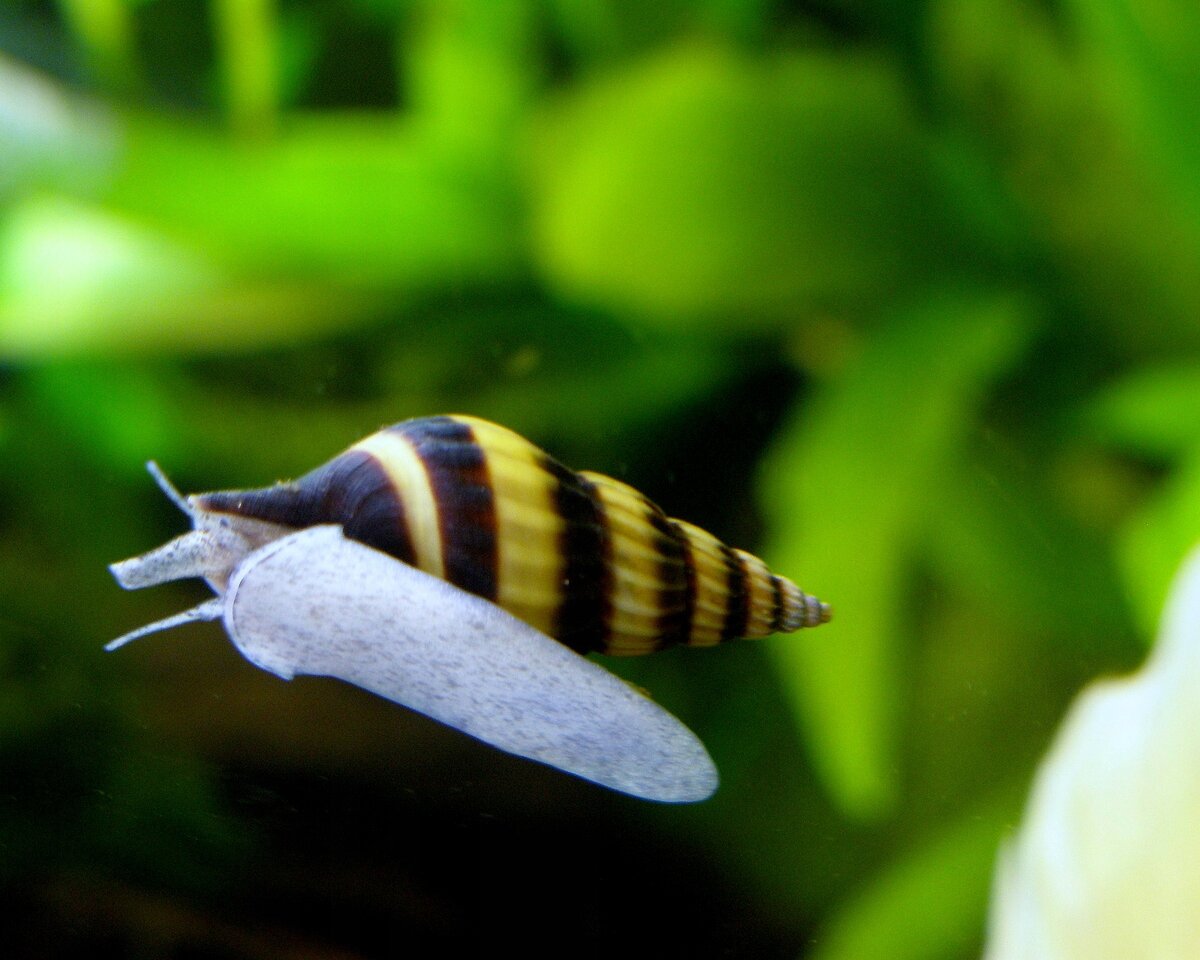 Фото из интернета