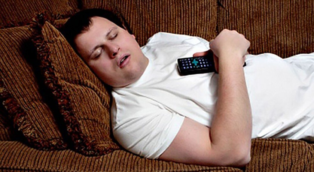 Картинка из открытого доступа сети Интернет.