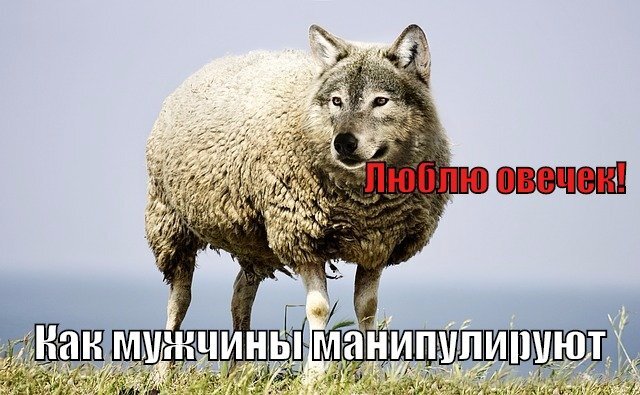 Источник : https://matriarchat.ru/kak-muzhchiny-manipuliruyut-zhenshhinami/