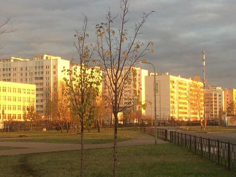 Осень в раннем утре.
