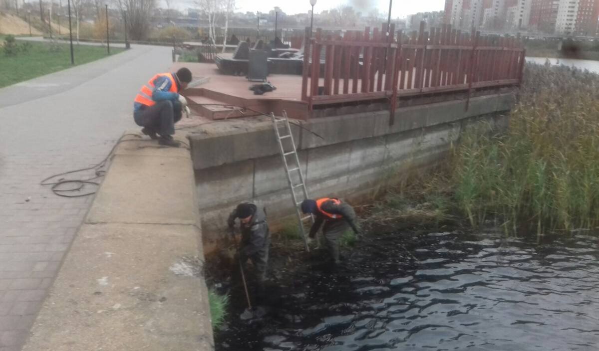 Фото предоставлено пресс-службой губернатора и правительства Нижегородской области