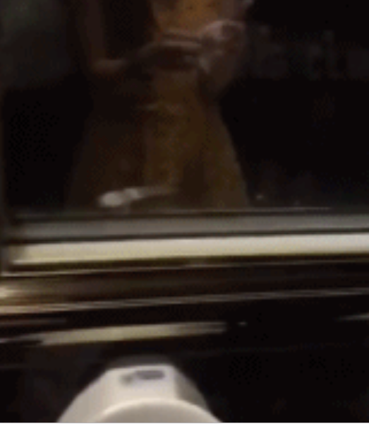 Фото взято из открытых источников