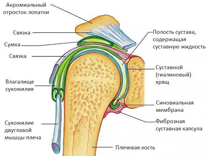 
Рис.2
