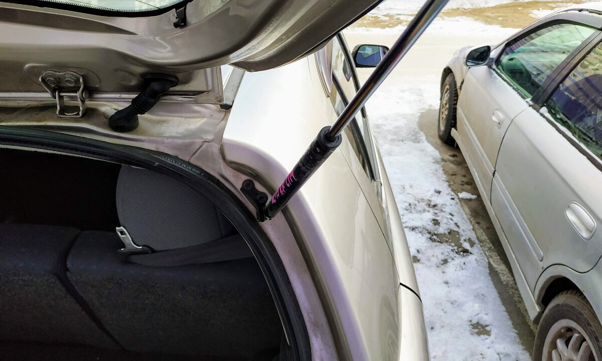 Амортизатор пятой двери.