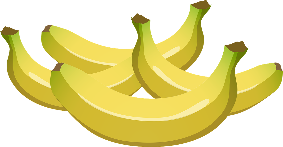Фото с сайта: pixabay.com