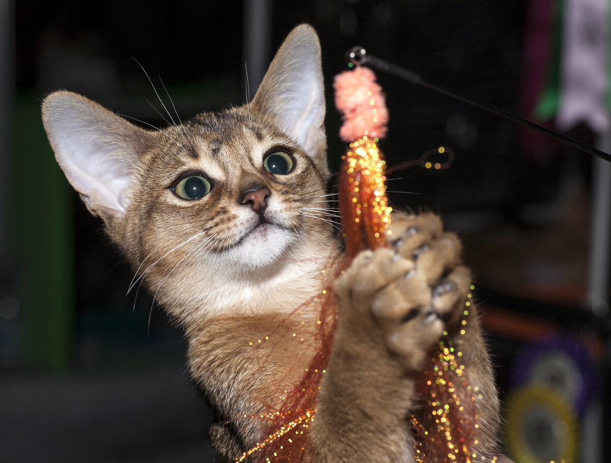 Фото из открытых источников