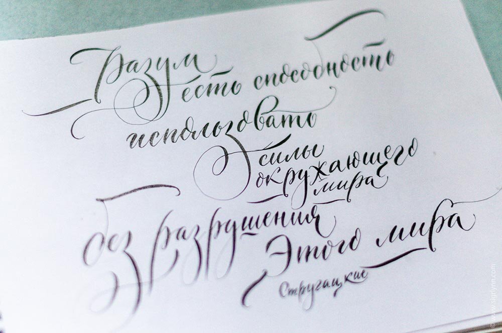 © Анна Суворова