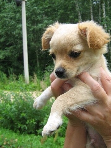 Любовь с первого взгляда...