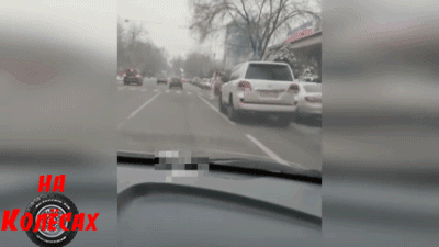 Весёлая компания попутчиков