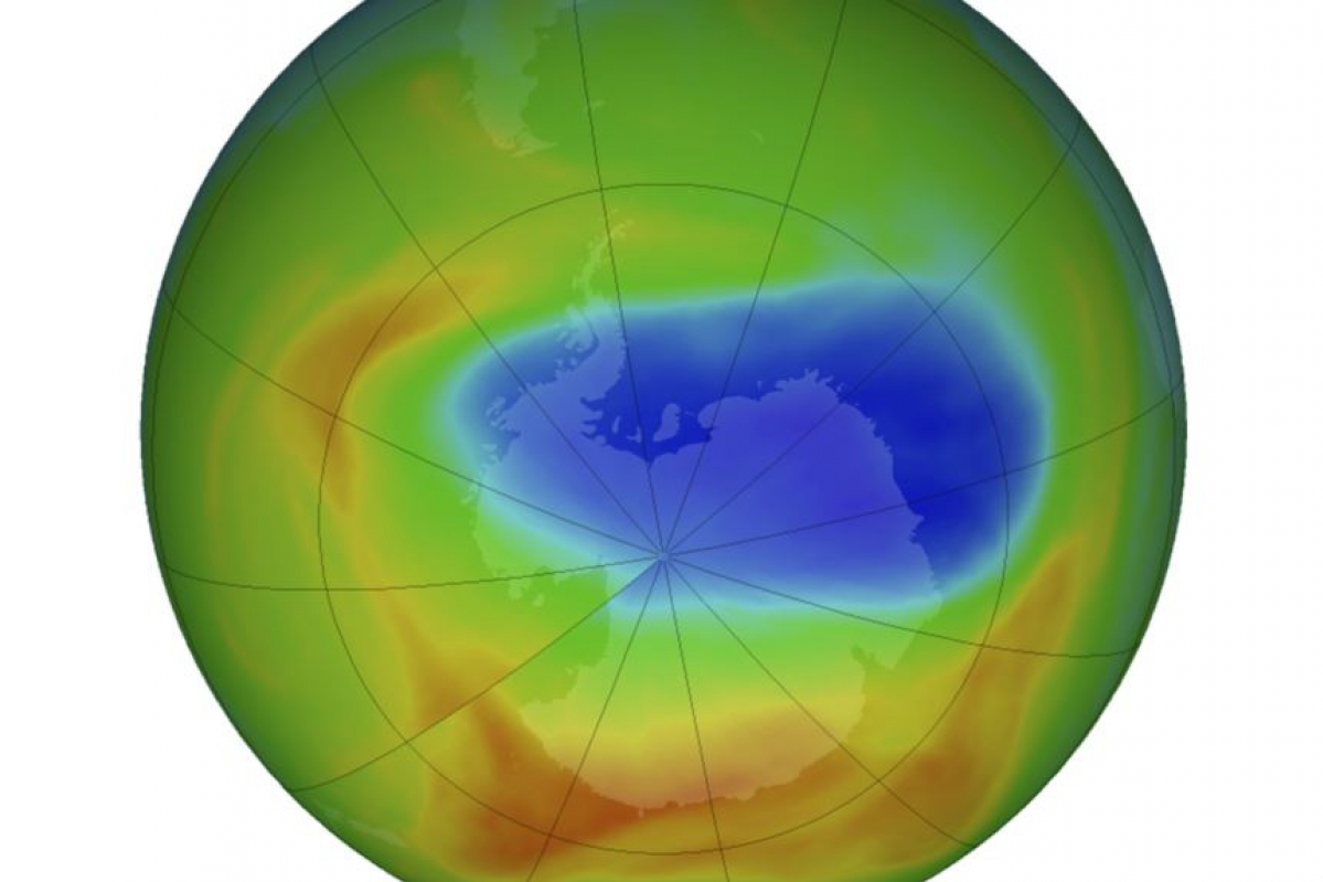 Источник яндекс картинки