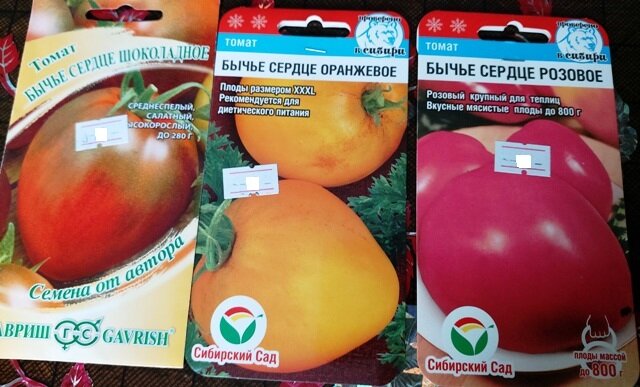 Томаты бычье сердце описание сорта фото отзывы