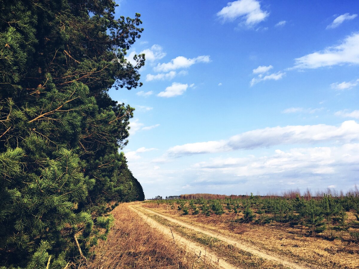 (я тогда еще не имела в руках цифровую камеру, поэтому извините за не особо качественные фотографии)