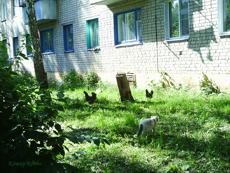 3. Охота на крупную птицу.